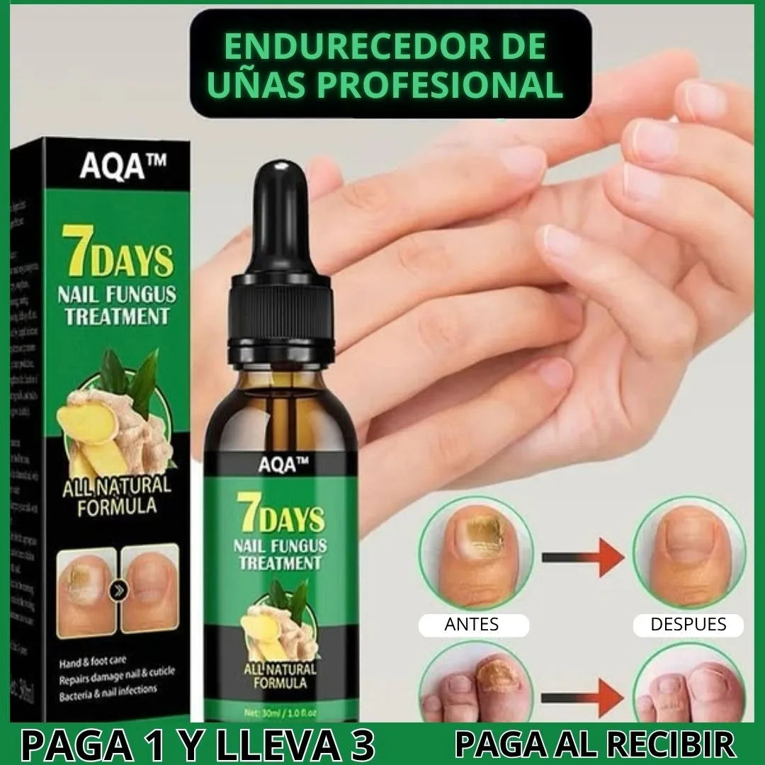 endurecedor 2